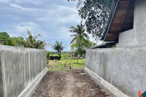 Land in Tabanan, Bali (12243) 3