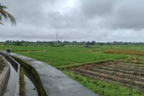 Land in Tabanan, Bali (12243) 12