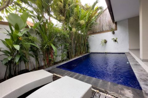 2 bedrooms Villa in Canggu, Badung, Bali (15314)