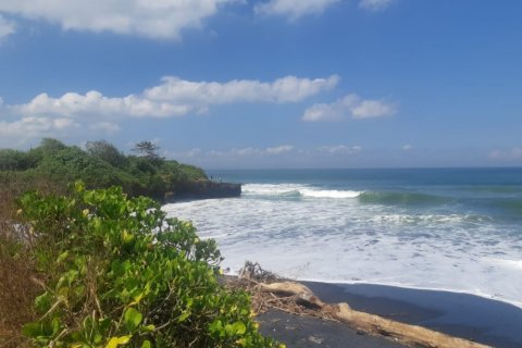 Land in Tabanan, Bali (12307)