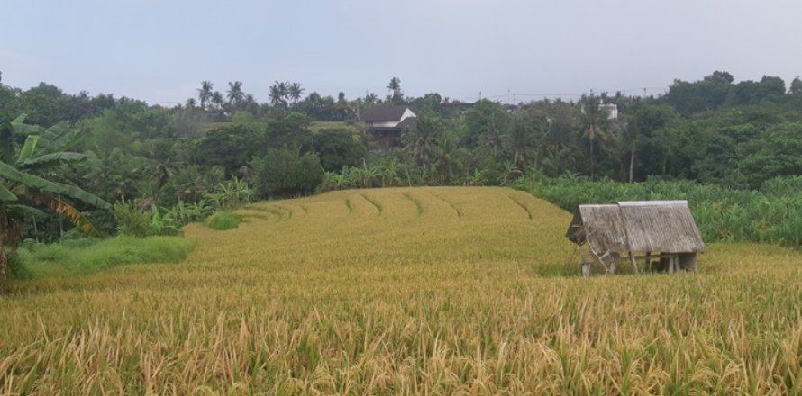 Land in Tabanan, Bali (12311)
