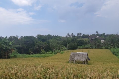 Land in Tabanan, Bali (12311) 4