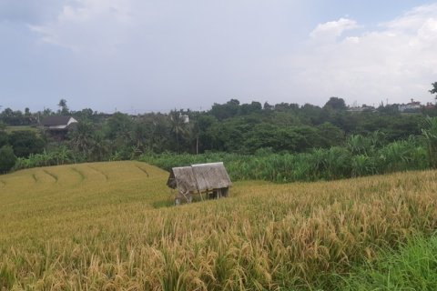 Land in Tabanan, Bali (12311) 2