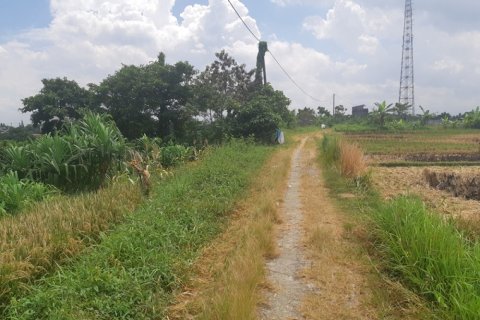 Land in Tabanan, Bali (12311) 3
