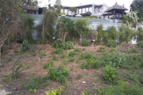 Land in Jimbaran, Badung, Bali (12306) 4