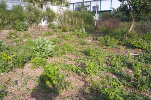 Land in Jimbaran, Badung, Bali (12306)