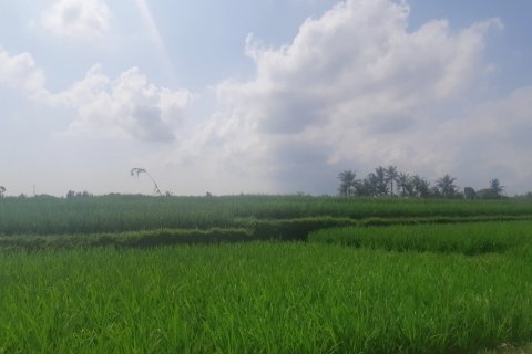 Land in Tabanan, Bali (12309)