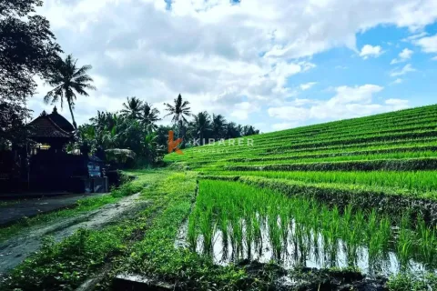 3 bedrooms Villa in Tabanan, Bali (17057) 16
