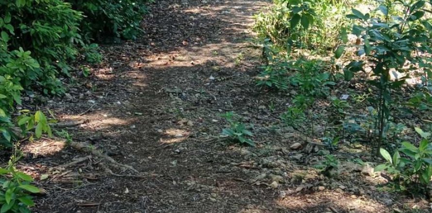 Земельный участок 1430м2 в Южная Кута, Бадунг, (9787)