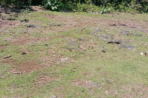 Земельный участок 1430м2 в Южная Кута, Бадунг, (9787) 12