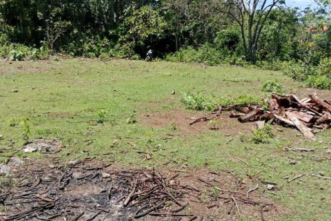 Земельный участок 1430м2 в Южная Кута, Бадунг, (9787) 5