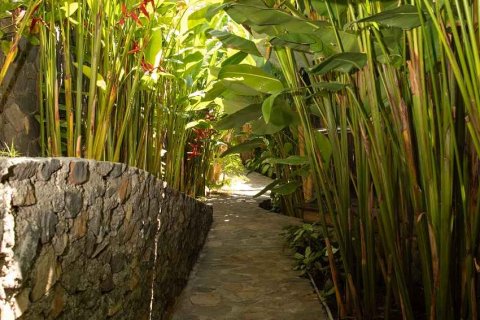 Вилла с 13 спальнями в Карангасем,  (9433) 8