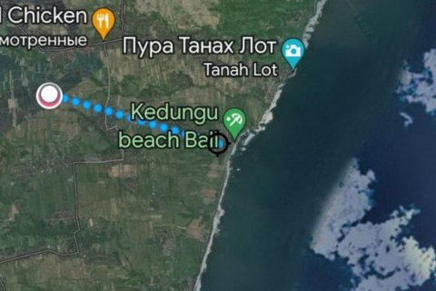 Земельный участок 260м2 в Табанан, Бали (13994) 2
