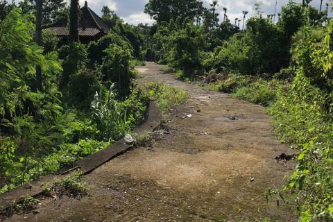 Земельный участок 1000м2 в Карангасем, Бали (13992) 2