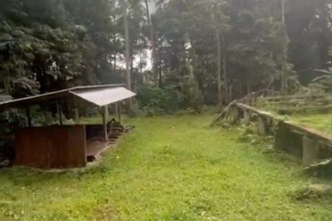 1230m2 Land in Ubud, Gianyar, Bali (13995) 4