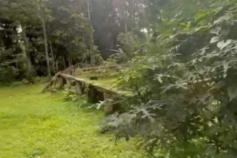 1230m2 Land in Ubud, Gianyar, Bali (13995) 5