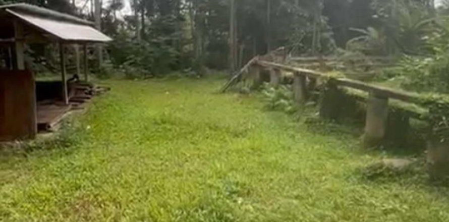 1230m2 Land in Ubud, Gianyar, Bali (13995)