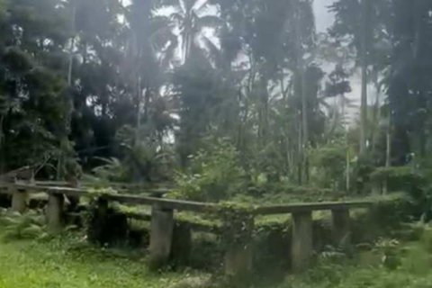 1230m2 Land in Ubud, Gianyar, Bali (13995) 2