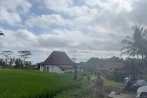 1230m2 Land in Ubud, Gianyar, Bali (13995) 6