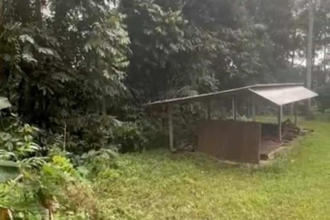 1230m2 Land in Ubud, Gianyar, Bali (13995) 3