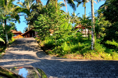 9 bedrooms Villa in Tabanan,  (9814) 11