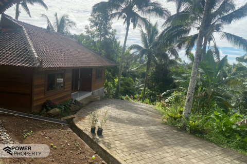 9 bedrooms Villa in Tabanan,  (9814) 13