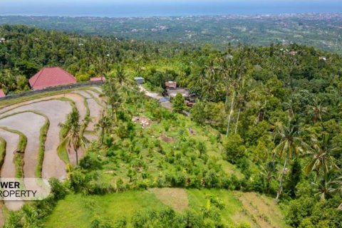 1730m2 Land in Lovina, Anturan, Buleleng, (9816) 12