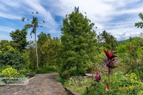 1730m2 Land in Lovina, Anturan, Buleleng, (9816) 2