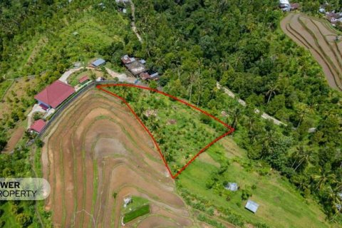 1730m2 Land in Lovina, Anturan, Buleleng, (9816) 15