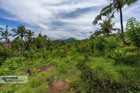 1730m2 Land in Lovina, Anturan, Buleleng, (9816) 4