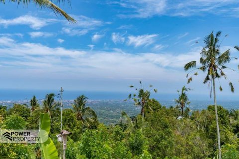 1730m2 Land in Lovina, Anturan, Buleleng, (9816) 6