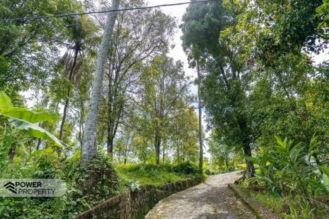 1730m2 Land in Lovina, Anturan, Buleleng, (9816) 14