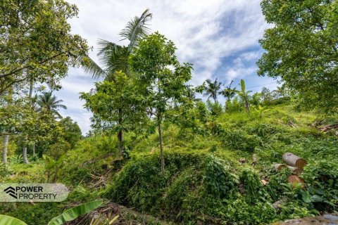 1730m2 Land in Lovina, Anturan, Buleleng, (9816) 16