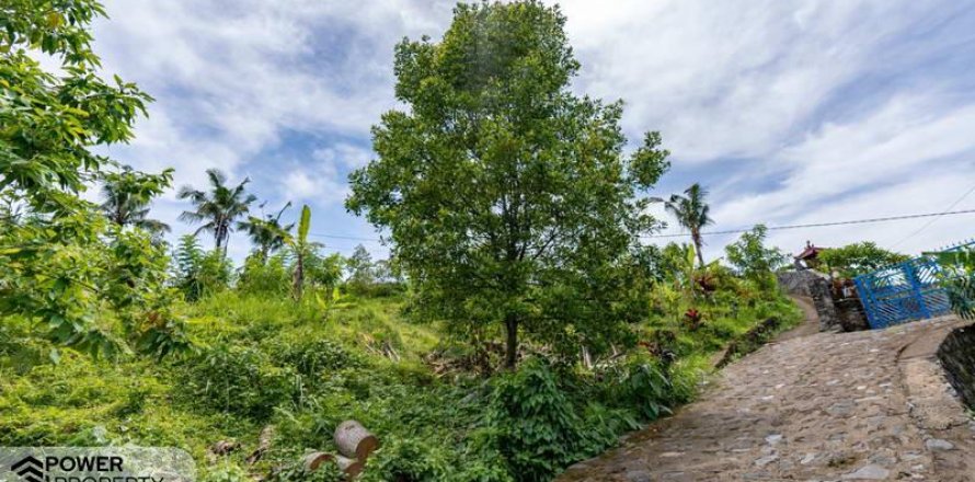 1730m2 Land in Lovina, Anturan, Buleleng, (9816)