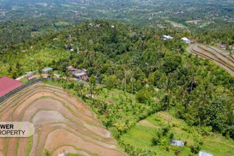 1730m2 Land in Lovina, Anturan, Buleleng, (9816) 11