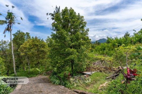 1730m2 Land in Lovina, Anturan, Buleleng, (9816) 5