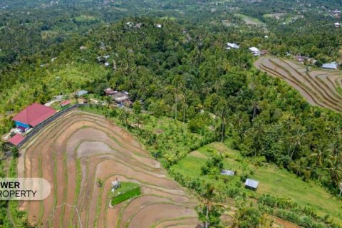 1730m2 Land in Lovina, Anturan, Buleleng, (9816) 10