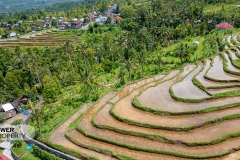 1730m2 Land in Lovina, Anturan, Buleleng, (9816) 13