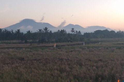 Land in Tabanan, Bali (12206)