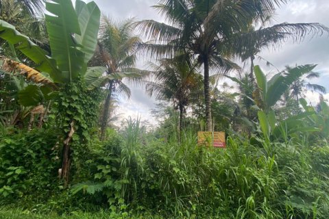 Land in Gianyar, Bali (12200)