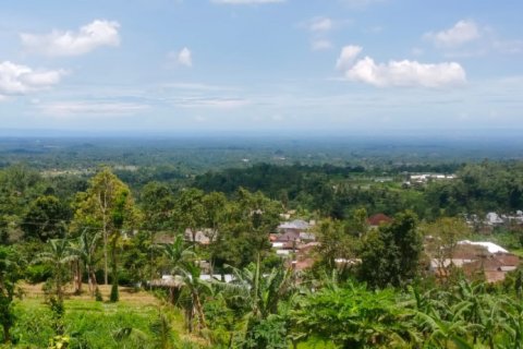 Land in Tabanan, Bali (12201)