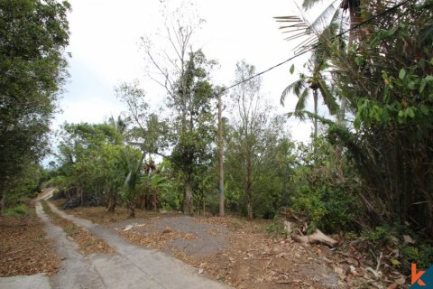 Land in Tabanan, Bali (12182)