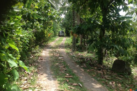 Land in Tabanan, Bali (12181)