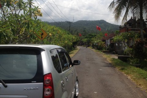 Land in Tabanan, Bali (12180) 4