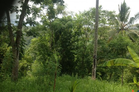 Land in Tabanan, Bali (12180) 3