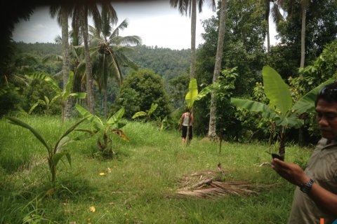 Land in Tabanan, Bali (12180)
