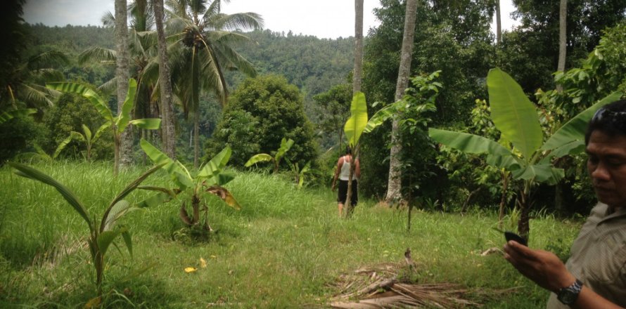 Land in Tabanan, Bali (12180)