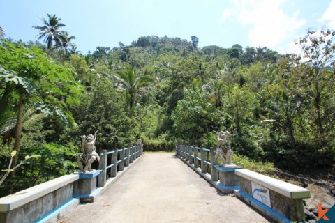 Land in Tabanan, Bali (12185)