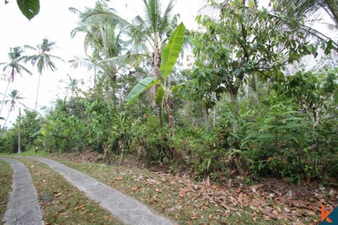 Land in Tabanan, Bali (12179) 2