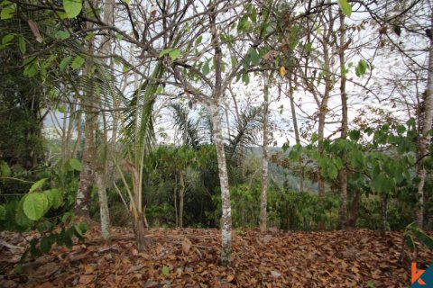 Land in Tabanan, Bali (12179)
